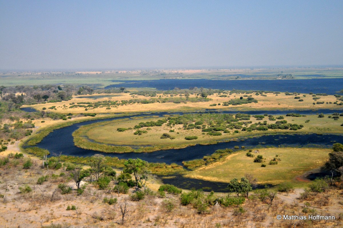 Linyanti | Botswana