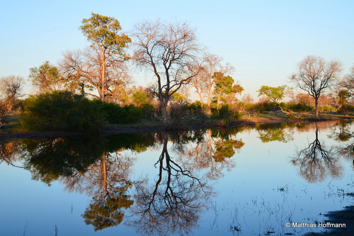 Selinda Spillway | Linyanti | Botswana