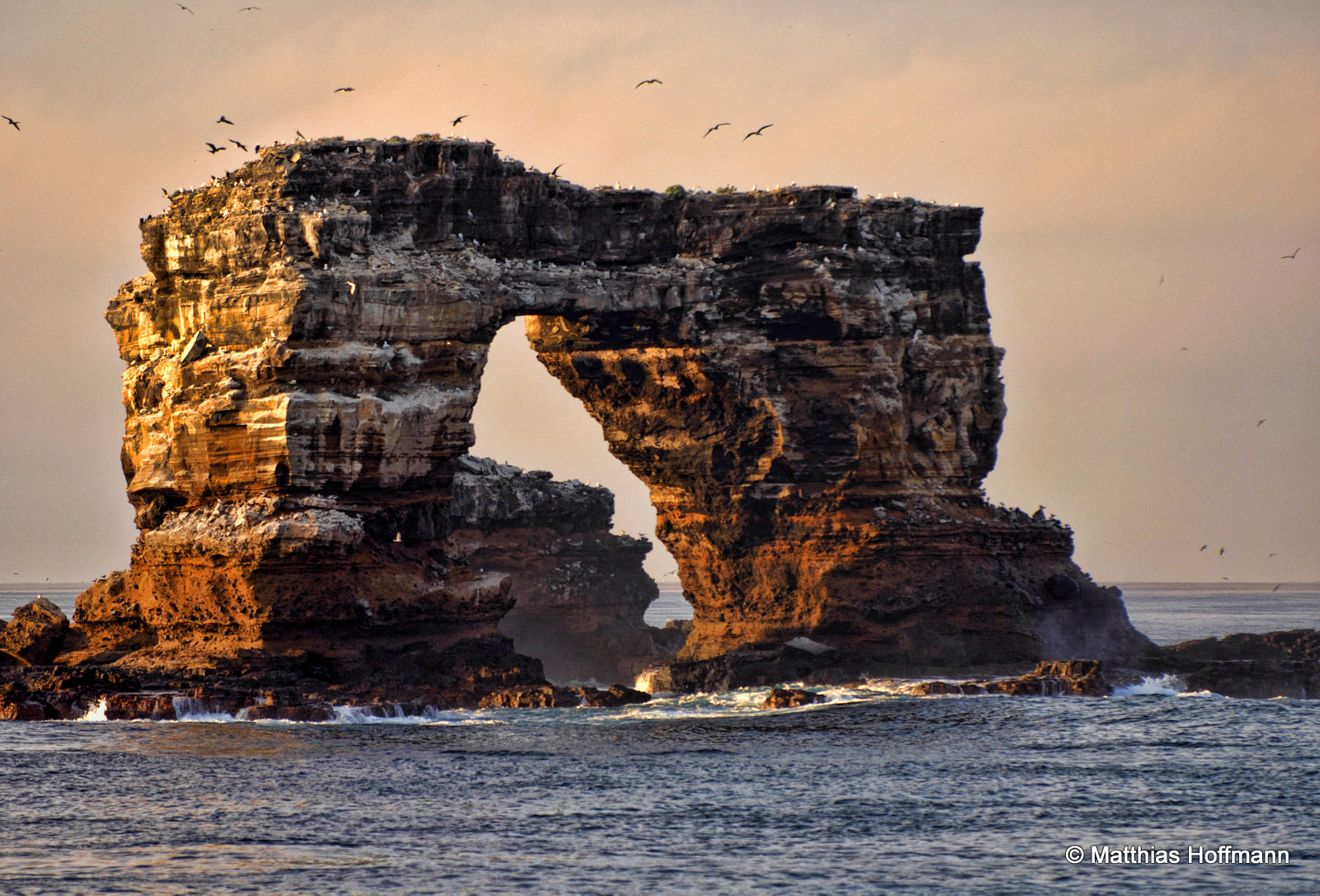Darwin’s Arch | Galapagos
