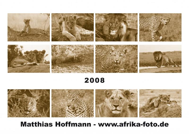 Kalender 2008 Matthias Hoffmann | www.afrika-foto.de