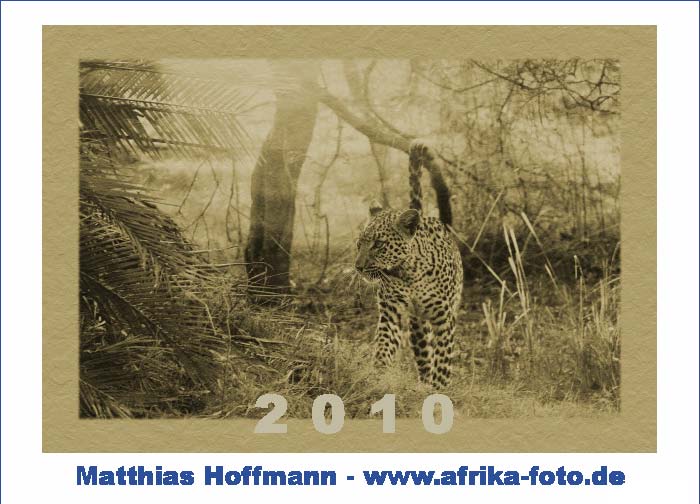 Kalender 2010 Matthias Hoffmann | www.afrika-foto.de