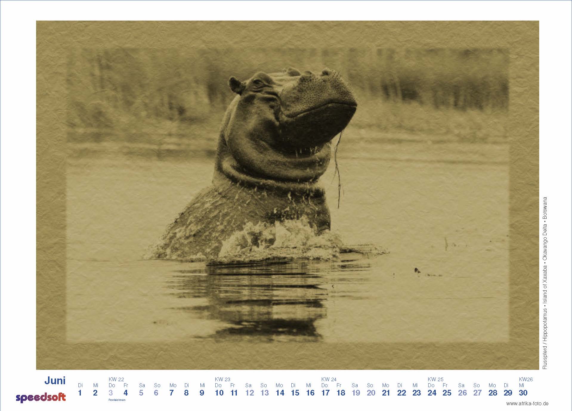 Hippopotamus | Flusspferd | Island of Xaxaba | Okavango Delta | Botswana - Kalender 2010 - Juni