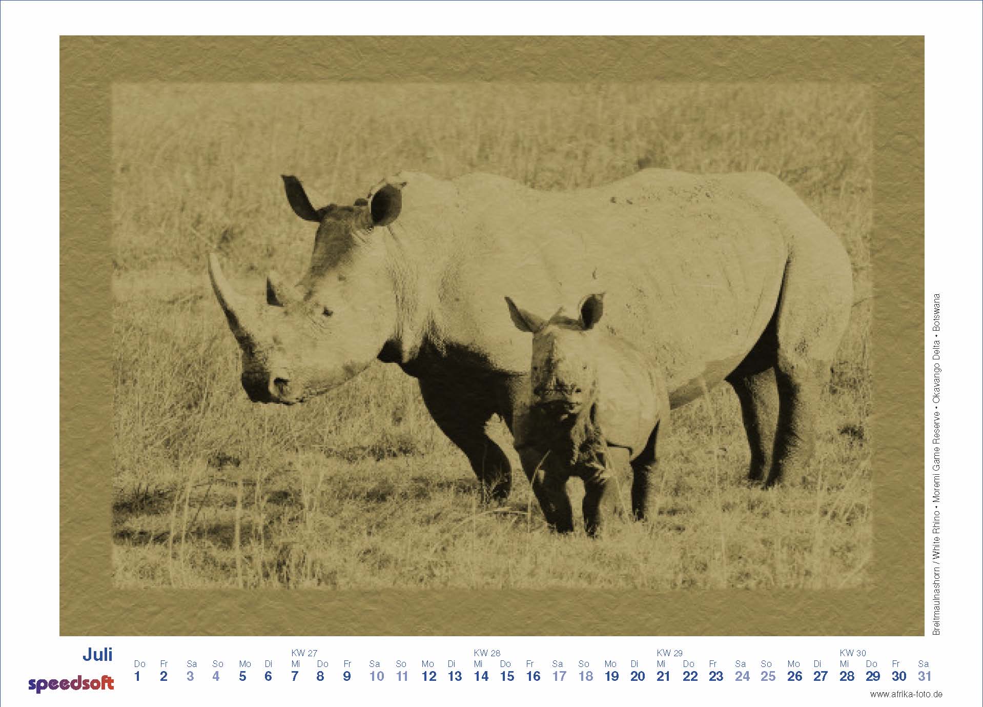White Rhino | Breitmaulnashorn | Moremi Game Reserve | Okavango Delta | Botswana - Kalender 2010 - Juli
