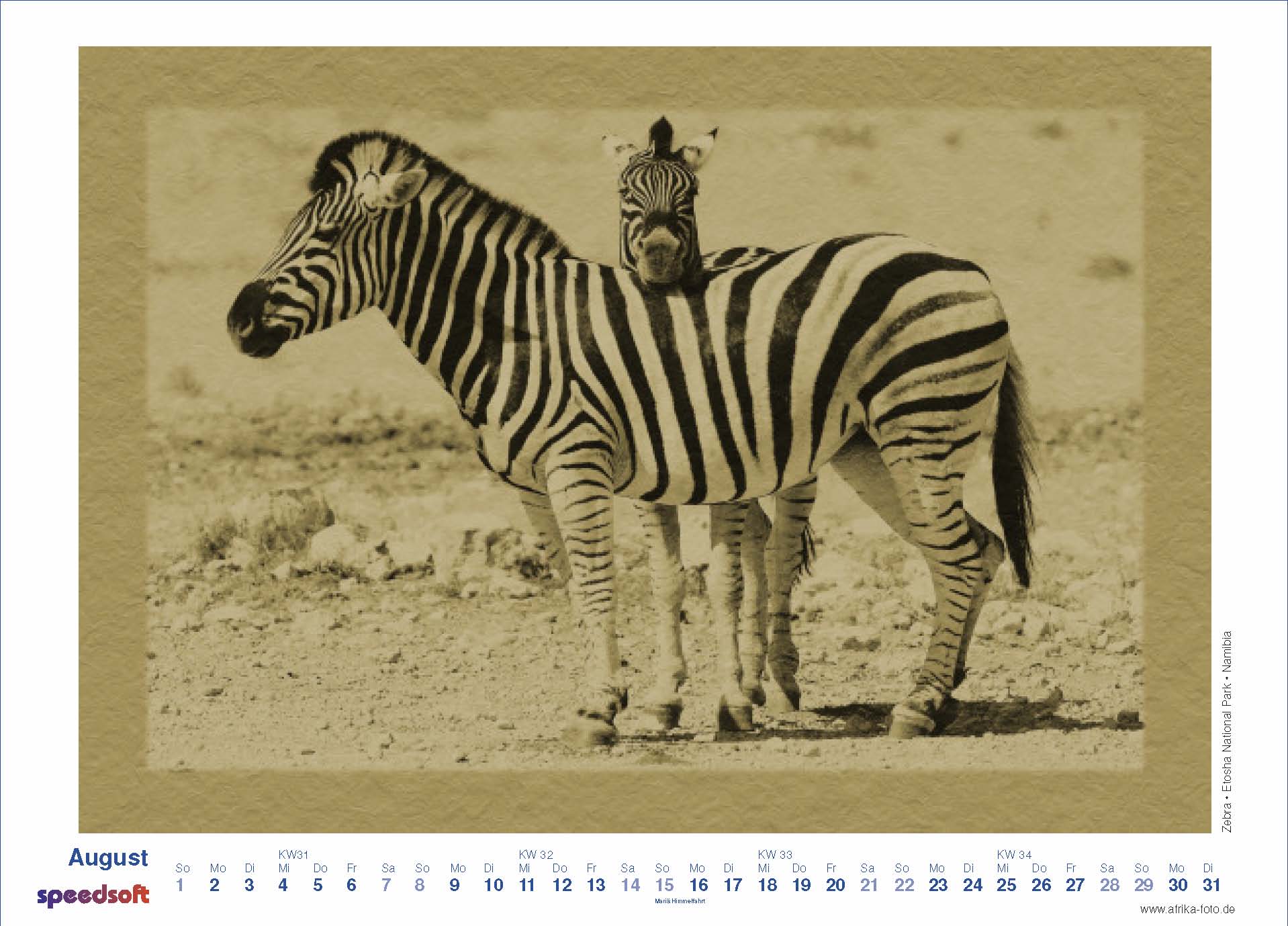 Zebra | Etosha National Park | Namibia - Kalender 2010 - August