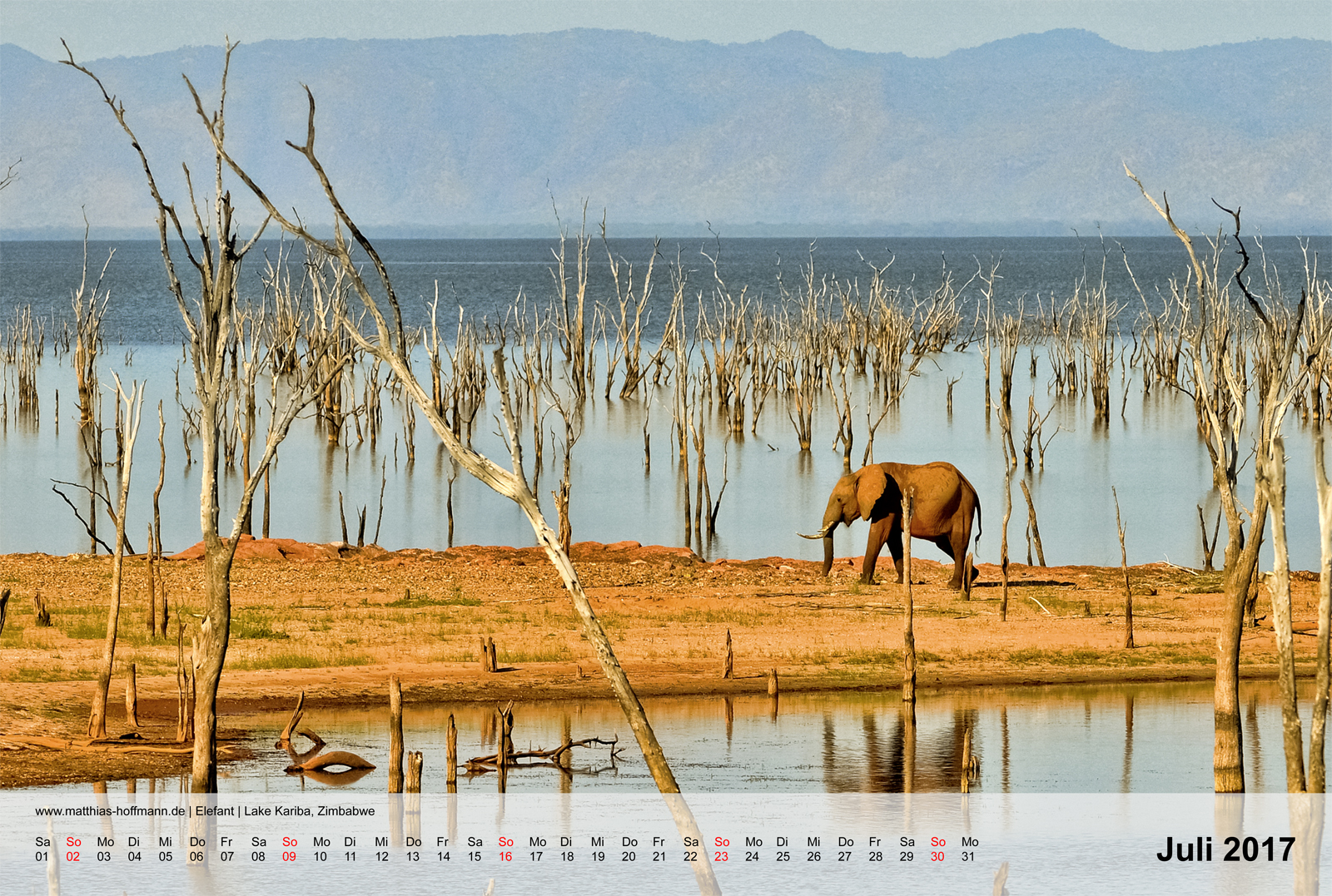 Elefant | Lake Kariba, Zimbabwe | Kalender 2017 - Juli