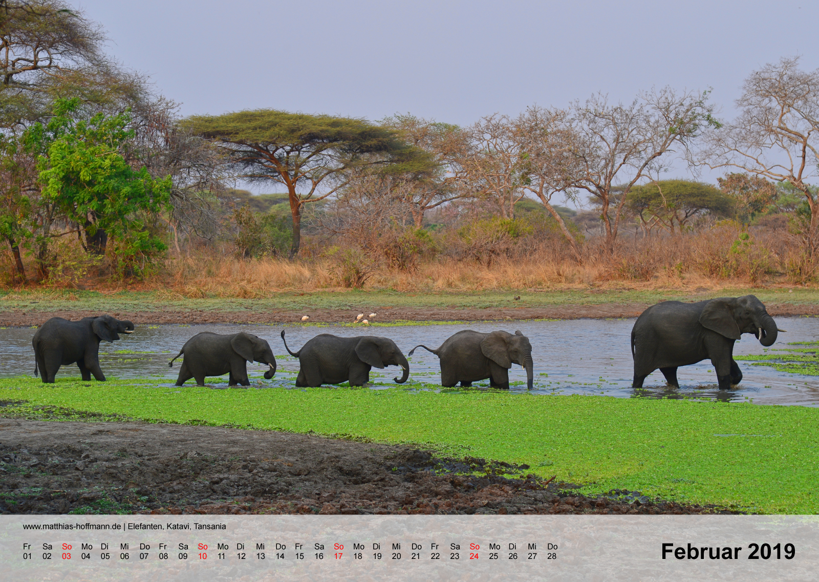 Elefanten, Katavi, Tansania | Kalender 2019 - Februar