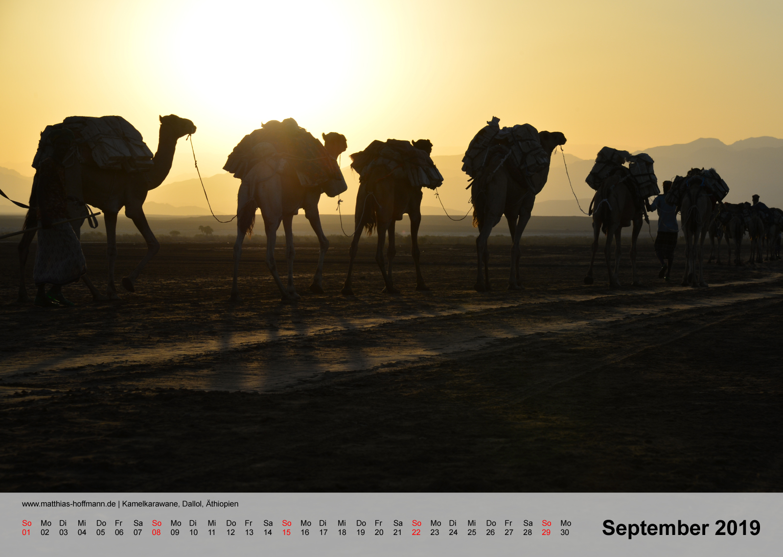Kamelkarawane, Dallol, Äthiopien | Kalender 2019 - September