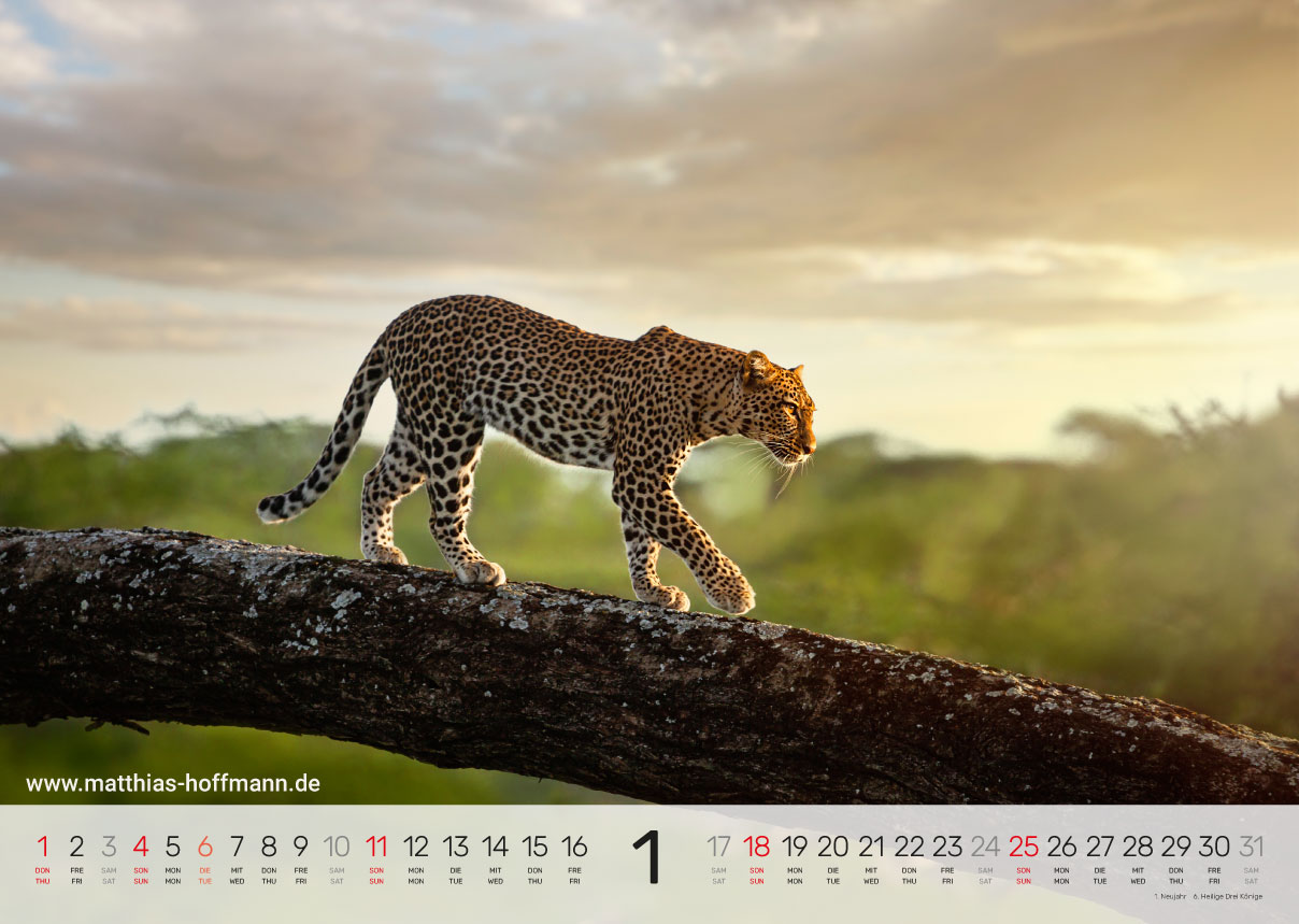 Kalender 2026 - Januar