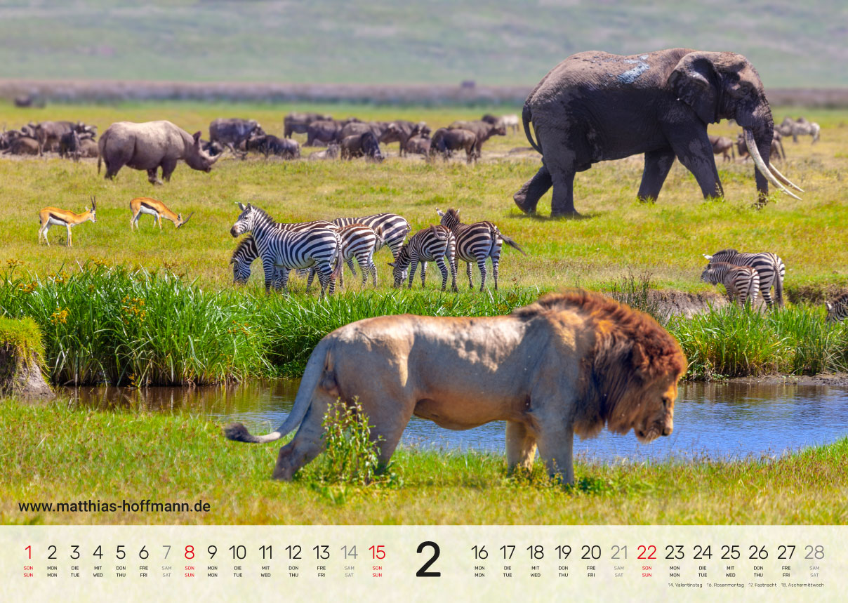 Kalender 2026 - Februar
