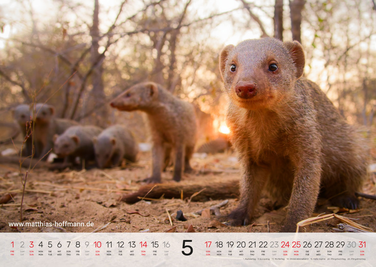 Kalender 2026 - Mai