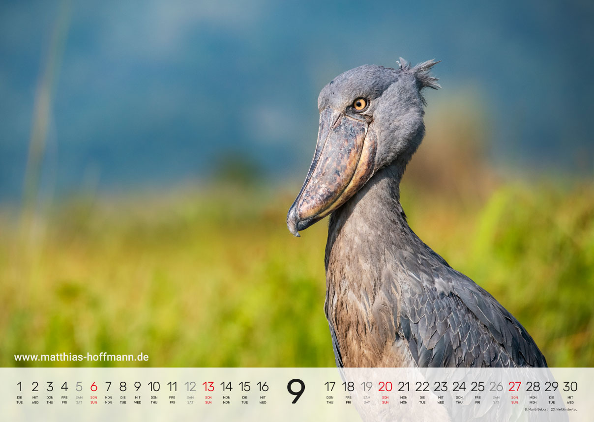Kalender 2026 - September