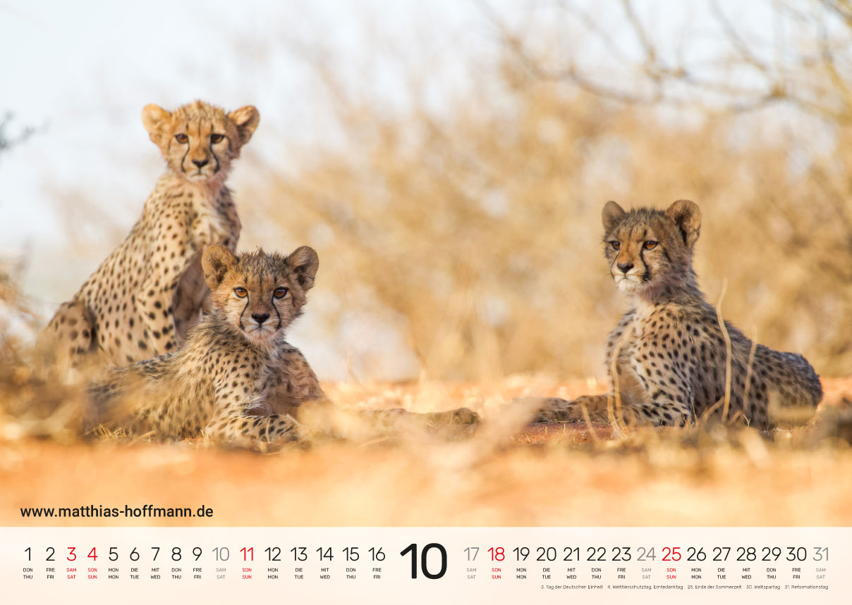Kalender 2026 - Oktober
