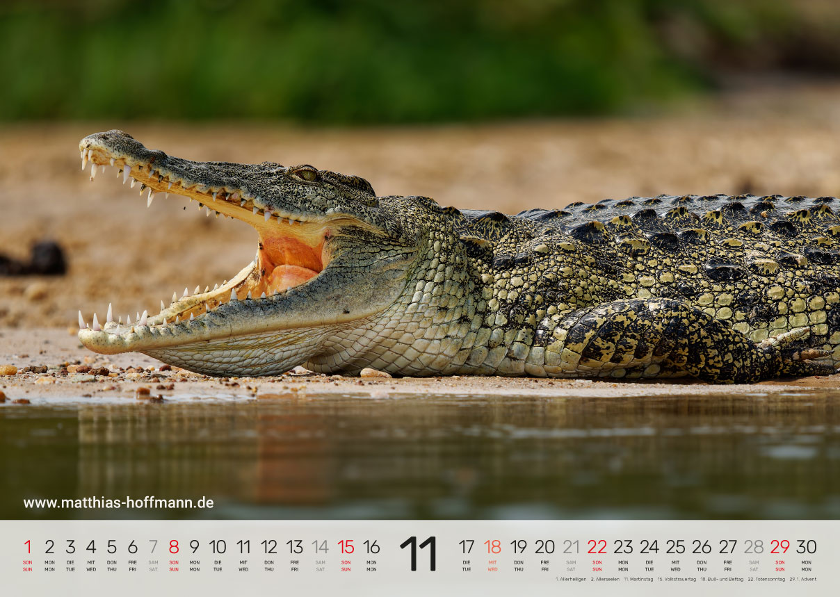 Kalender 2026 - November