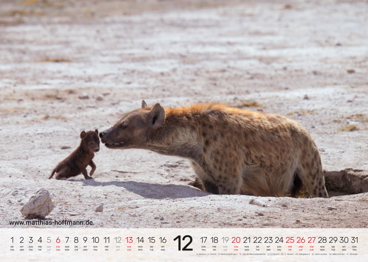 Kalender 2026 - Dezember